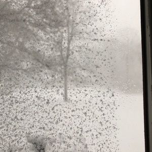 Meet your Posher, Sondra